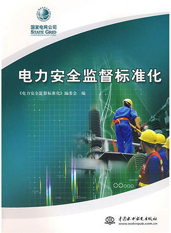 电力安全监督标准化